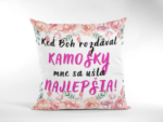 Vankúš Keď Boh rozdával kamošky, mne sa ušla najlepšia